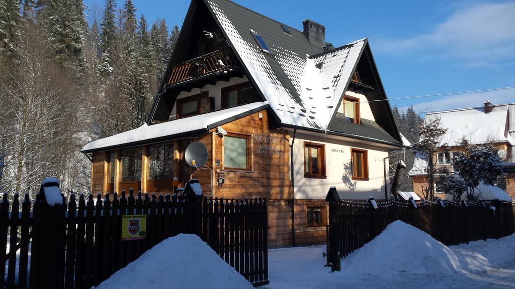 Homestay Srebrny Potok Zakopane Exteriör bild