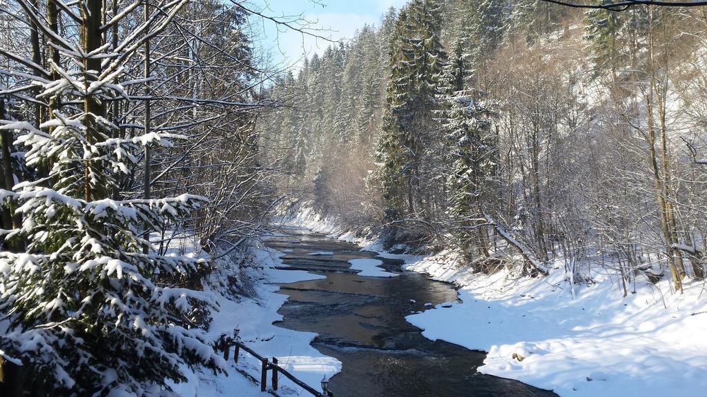 Homestay Srebrny Potok Zakopane Exteriör bild