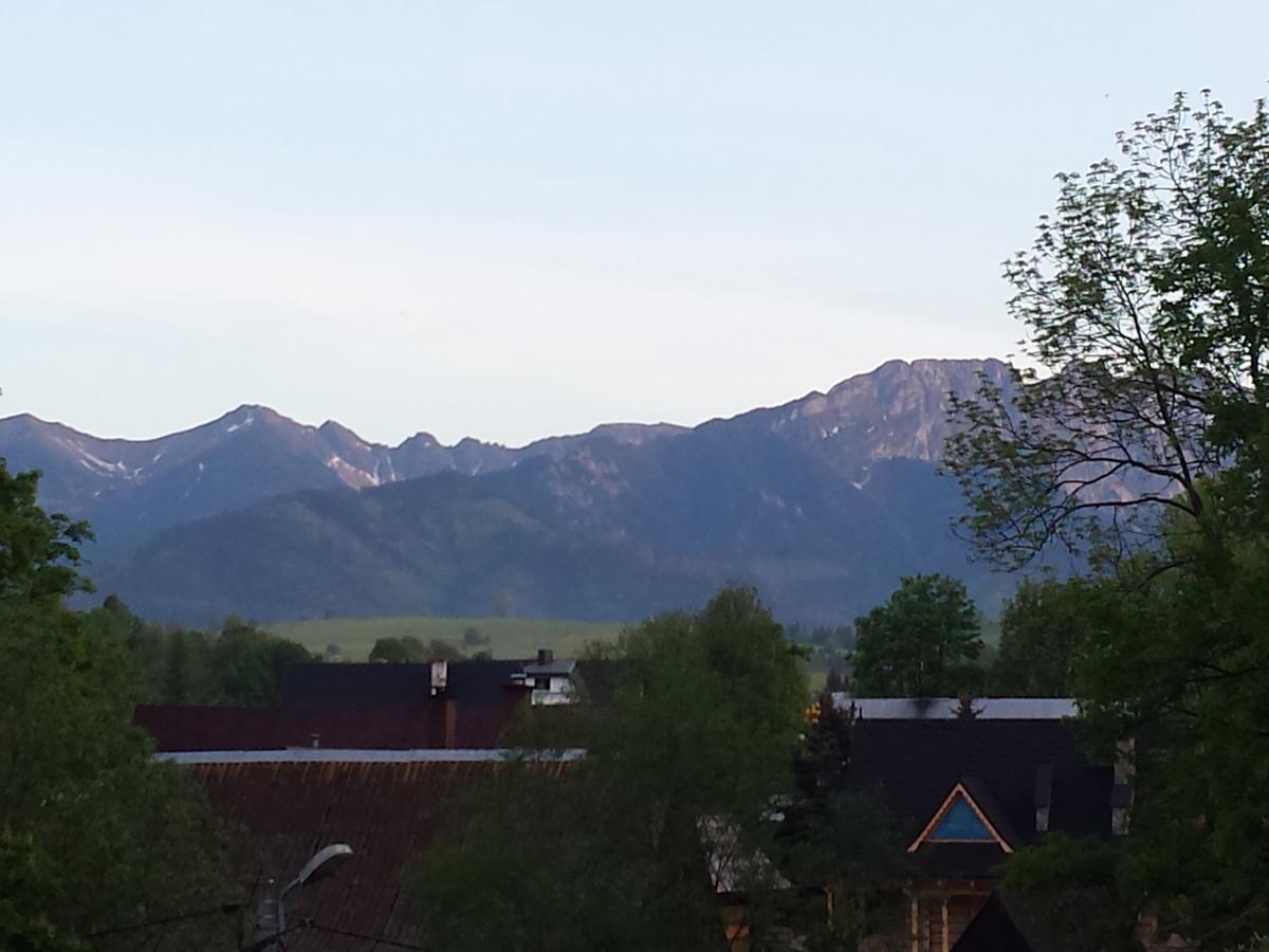Homestay Srebrny Potok Zakopane Exteriör bild