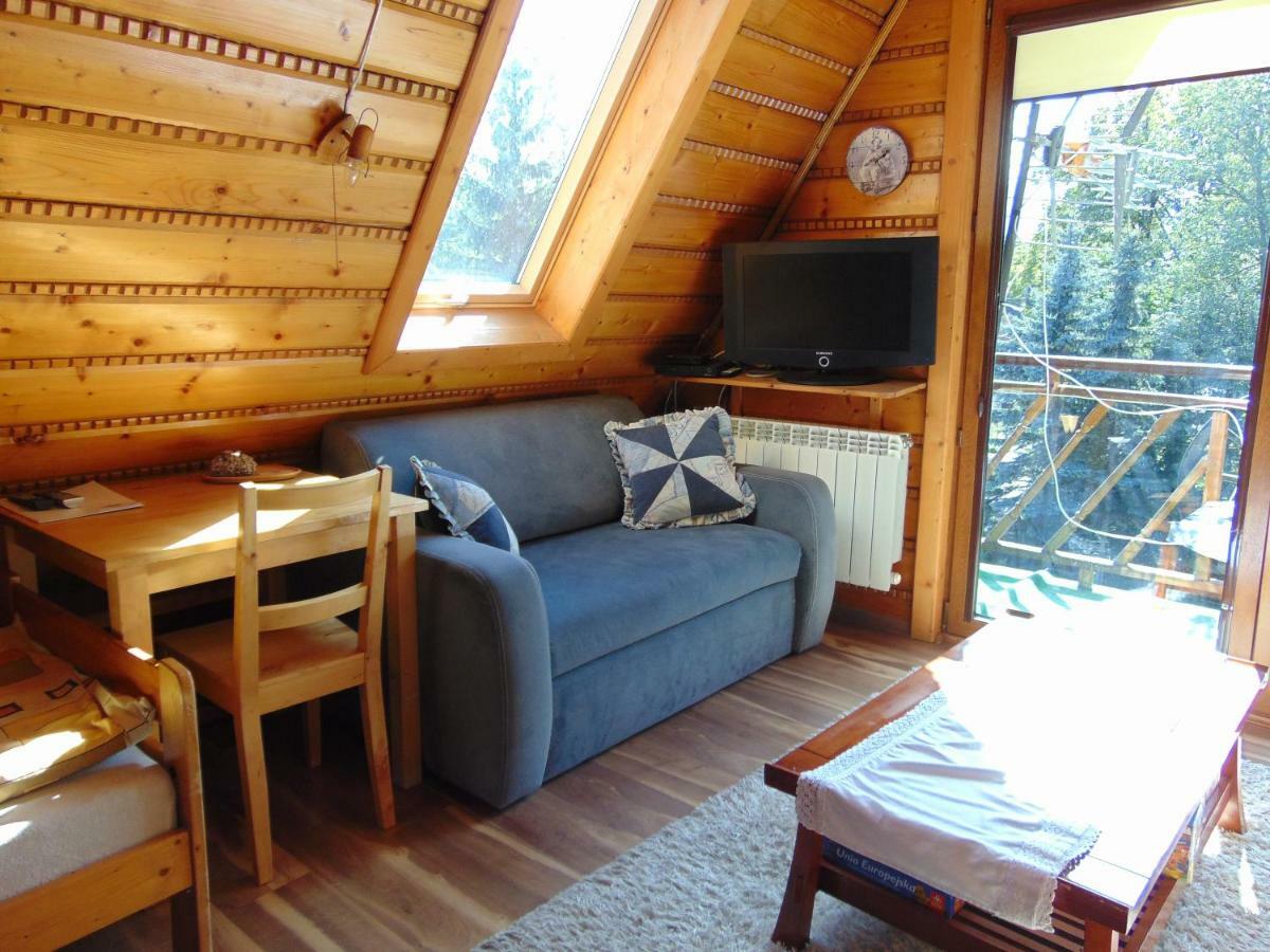 Homestay Srebrny Potok Zakopane Exteriör bild